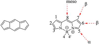 Carbazole Substituted BODIPYs